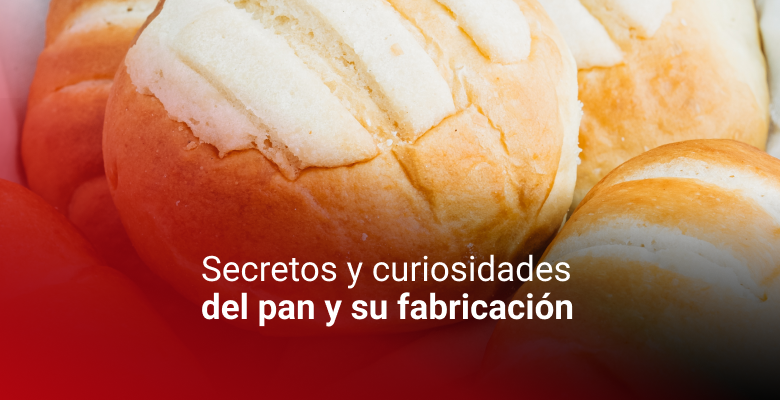 SECRETOS Y CURIOSIDADES DEL PAN Y SU FABRICACIÓN - CI TALSA Colombia